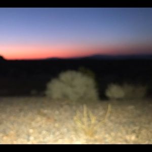 Meet your Posher, Danisa